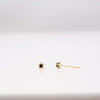 Mini Prong Studs