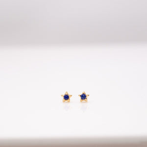 Mini Prong Studs