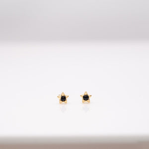 Mini Prong Studs